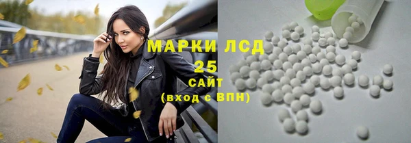 соль ск Зеленодольск