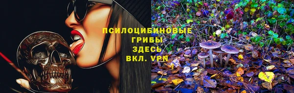 соль ск Зеленодольск