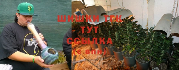соль ск Зеленодольск