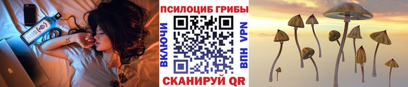Купить закладки  Дюртюли  Псилоцибиновые грибы Magic Shrooms 