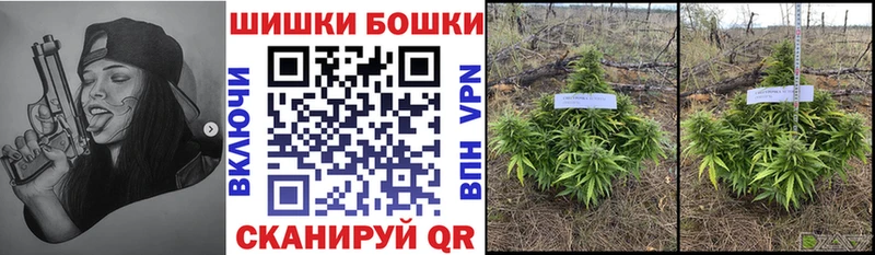 Бошки марихуана ГИДРОПОН Дюртюли
